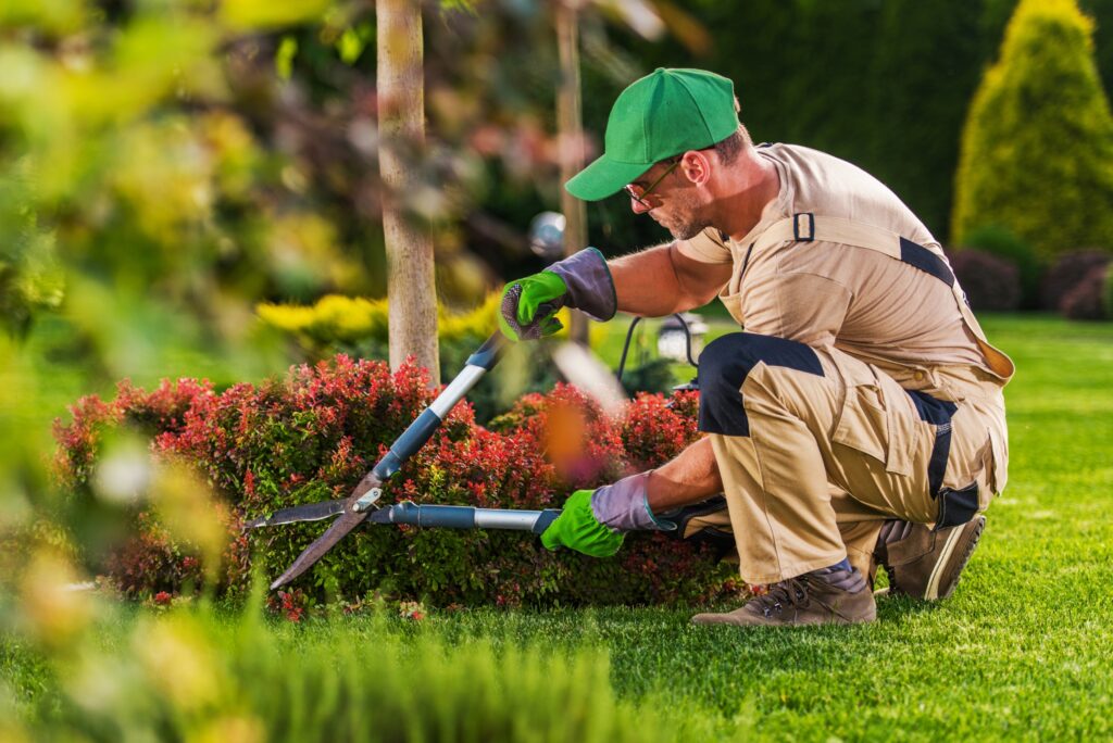Landscaping Service Marketing - Webbdesignz