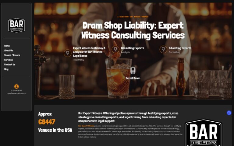 Bar Expert Witness website design by WebbDesignz — desktop homepage view