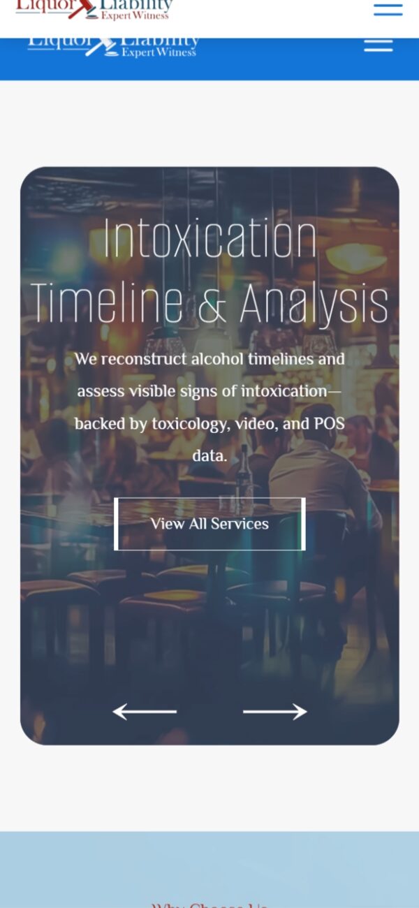 Liquor Liability Expert Witness mobile responsive website design — phone view