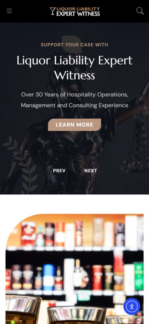 Liquor Liability Expert Witness mobile responsive website design — phone view